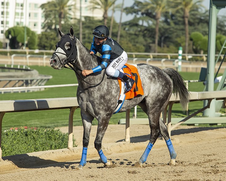 George Papaprodromou Racing tweet media
