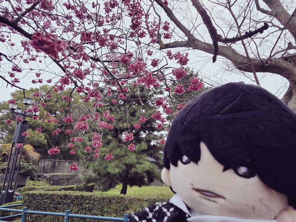 nr11326's tweet photo. この二泊三日でめっちゃほくぬちゃんと聖地巡礼して楽しかった🫶秒速ロケ地が念願で、平日休めないからやっとこれて！その前にジェシーのインスタの場所があり撮れたし去年からずっと行きたかった江ノ島にもこれた！ほくぬいちゃんとたくさん写真撮れて最高だった🫶また来月東京行くけども(笑) https://t.co/nT2yD76dTq