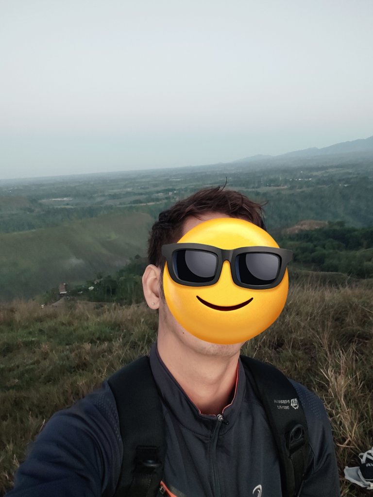 ArkHology tweet media