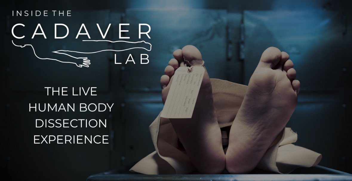 FreedomPrincipal tweet media