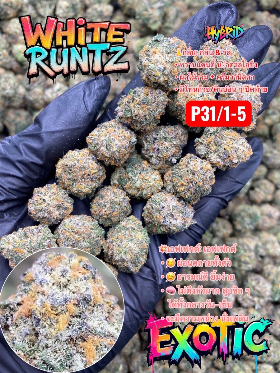 JADEGARDEN4200's tweet photo. WHITE RUNTZ 🍬🤍✨
ดอกสวย คริสตัลขาวพราว ❄️
เรซินแน่น วิบวับทั้งดอก 💎🌿

สนใจสั่งซื้อกดลิงก์👇🏻🚀
https://t.co/erzfw0GUSU

#กัญชา #กัญชาภูเก็ต #กัญชาสุราษฎร์ธานี #กัญชาสงขลา #กัญชานครศรีธรรมราช #กัญชากระบี่ #กัญชาหาดใหญ่ #กัญชาสมุย https://t.co/kHoDhnjcHd