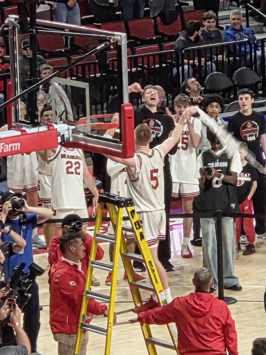 Chris Basnett tweet media