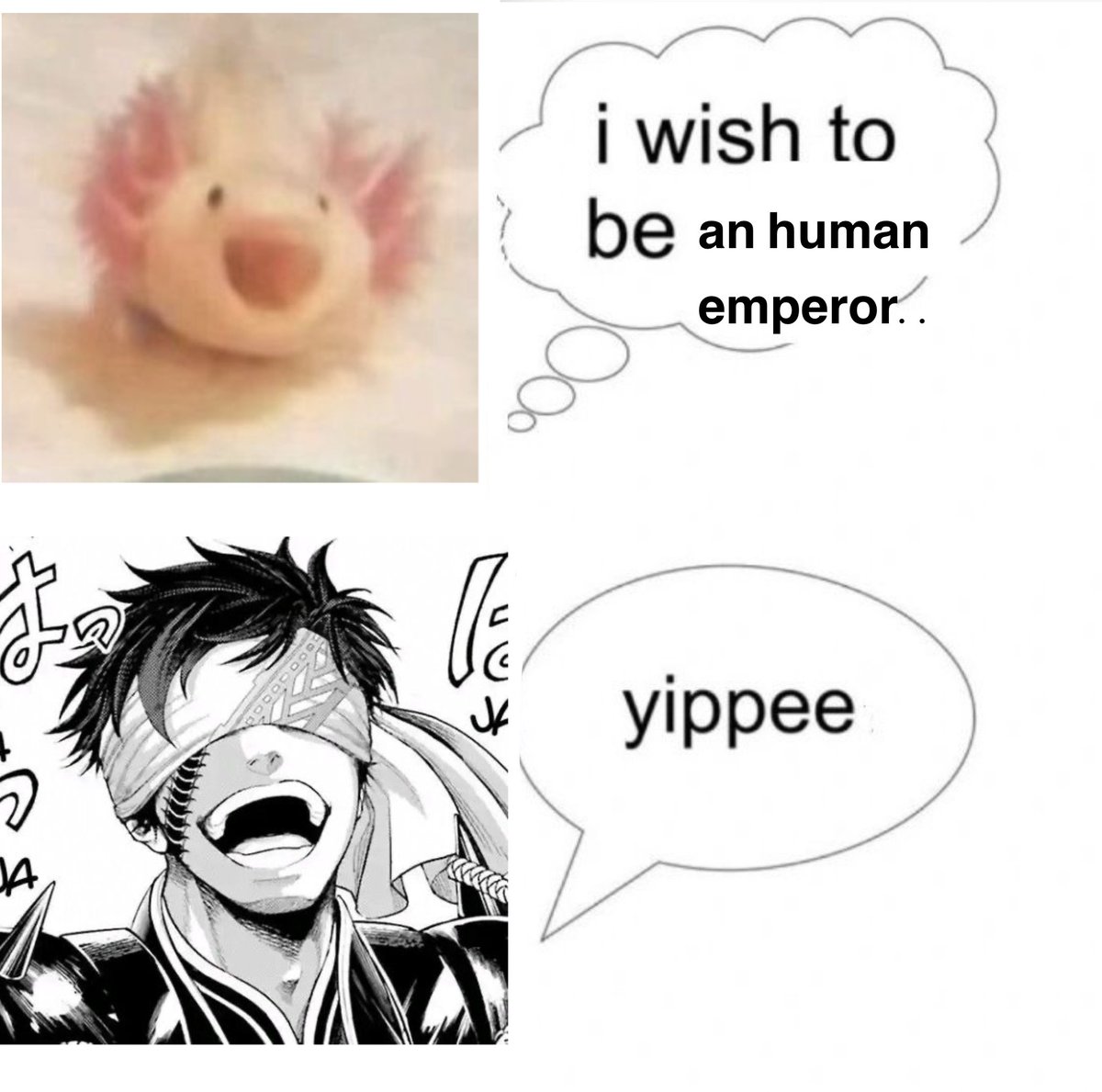 ⸝⸝ Yuma ♱⃓ Beel’s dove݁ ˖〃 tweet media