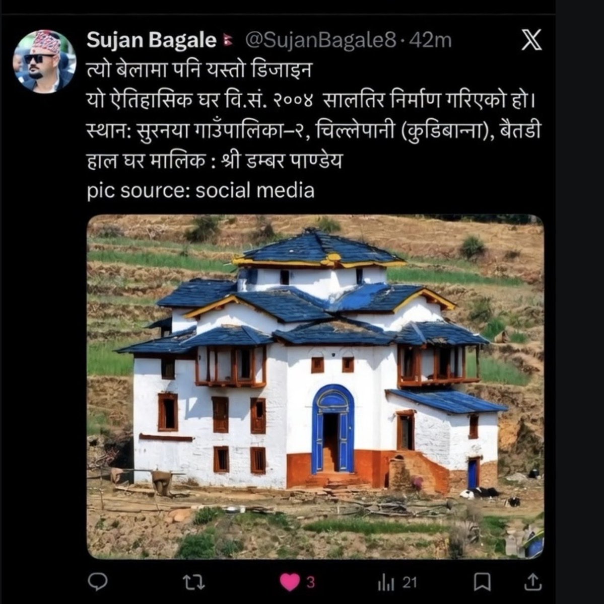 mani मनि (The Plant Person) tweet media