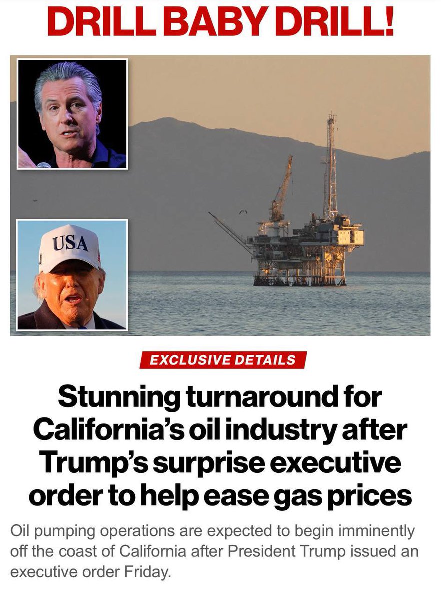 TRUTH NOW ⭐️⭐️⭐️🗽 🎺 tweet media