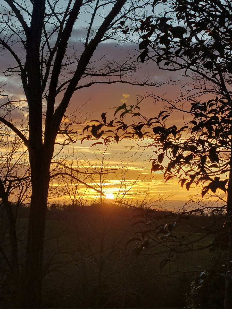 BulsaMarie's tweet image. #soir