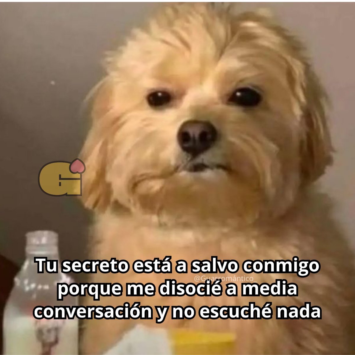 El Guarromántico tweet media