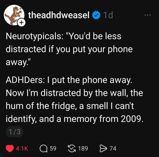 No Nonsense Neurodivergent tweet media