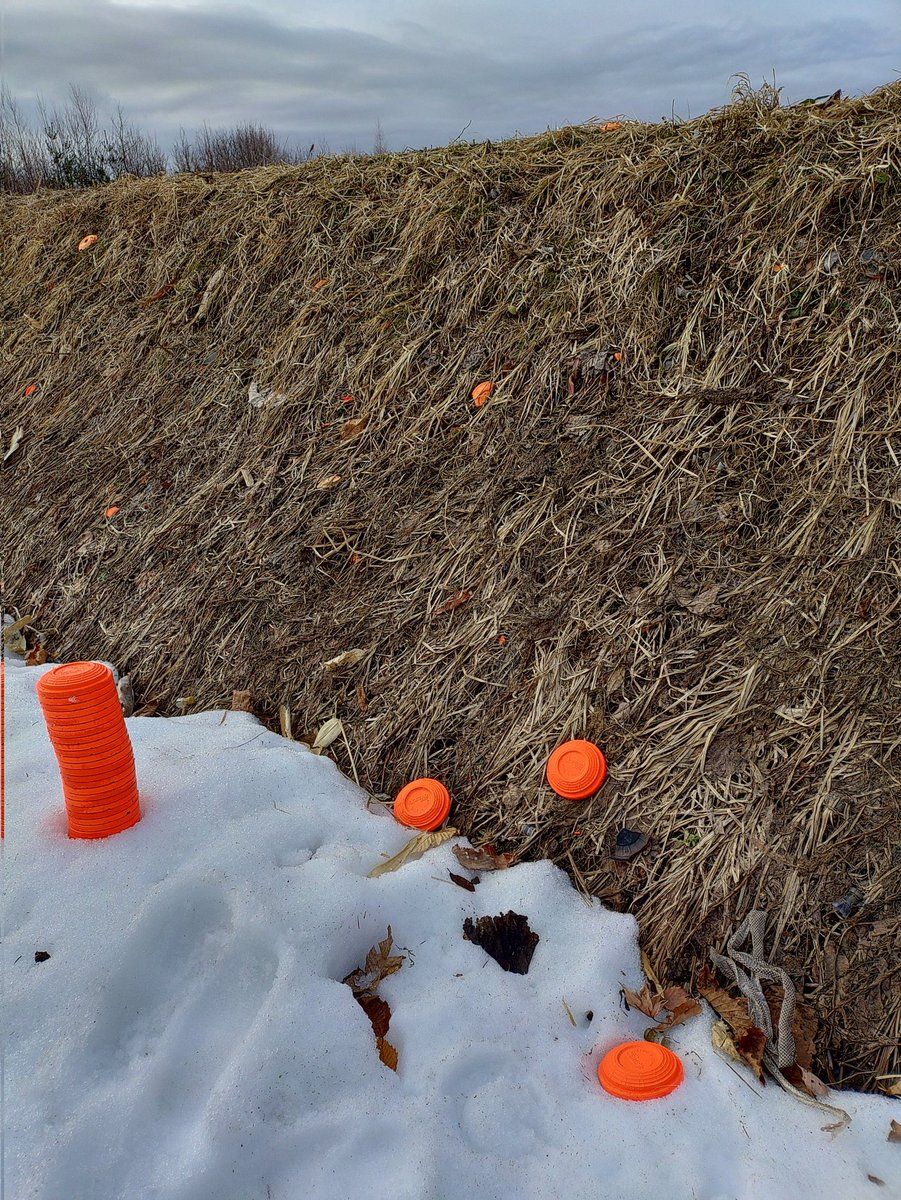 今日もプーラー室にいます tweet media