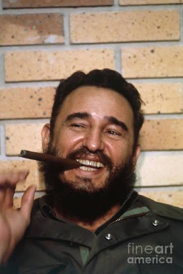 Hal Greaves tweet media