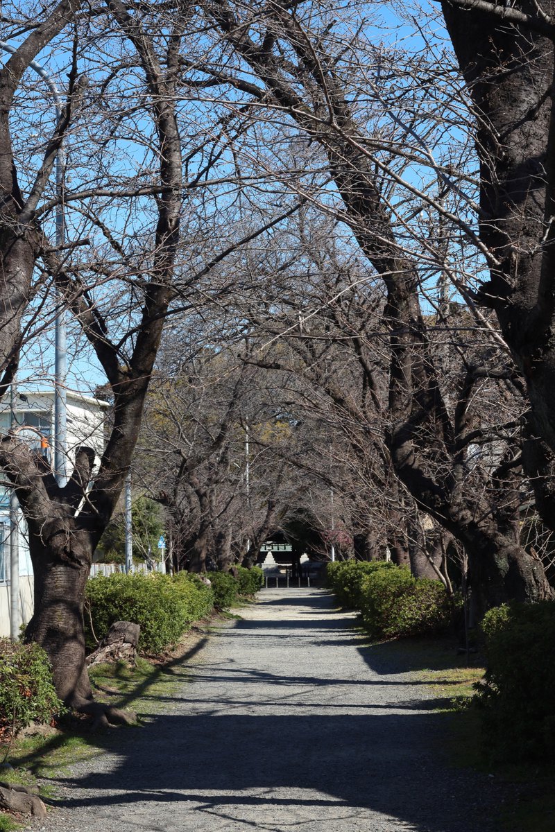 イノウエ タイジ tweet media