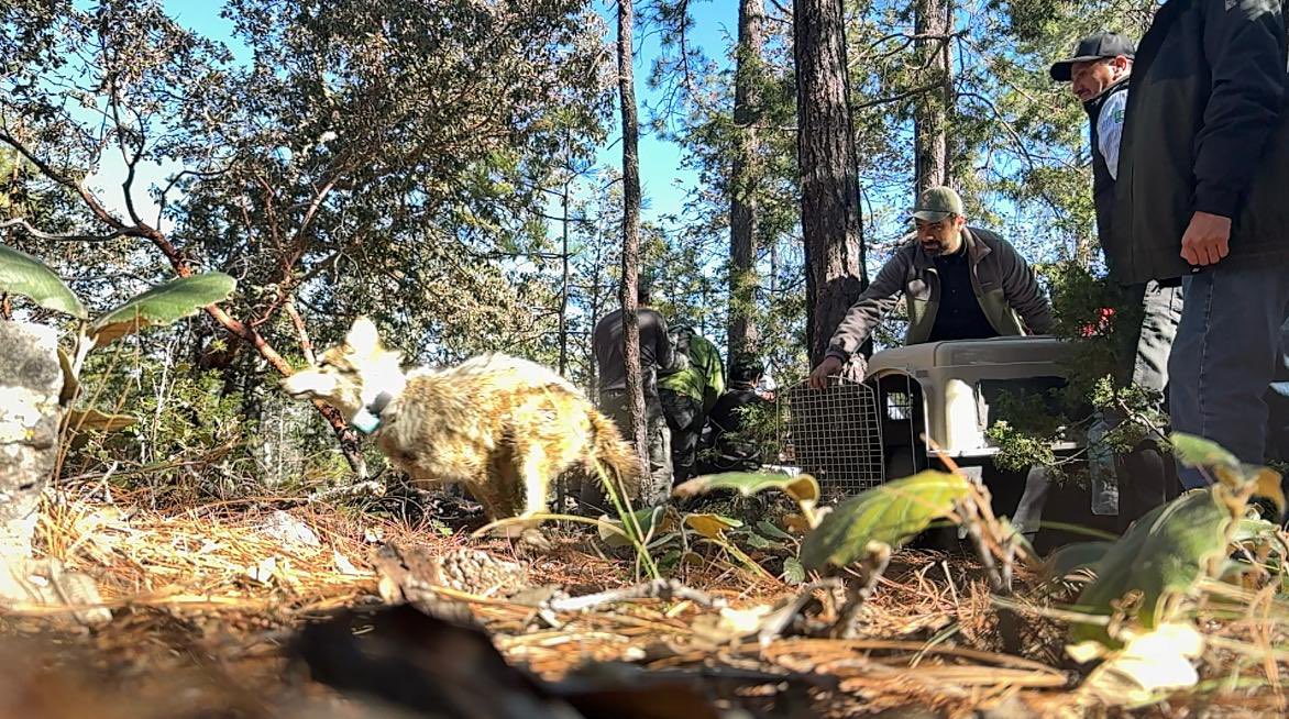 Marina Robles tweet media