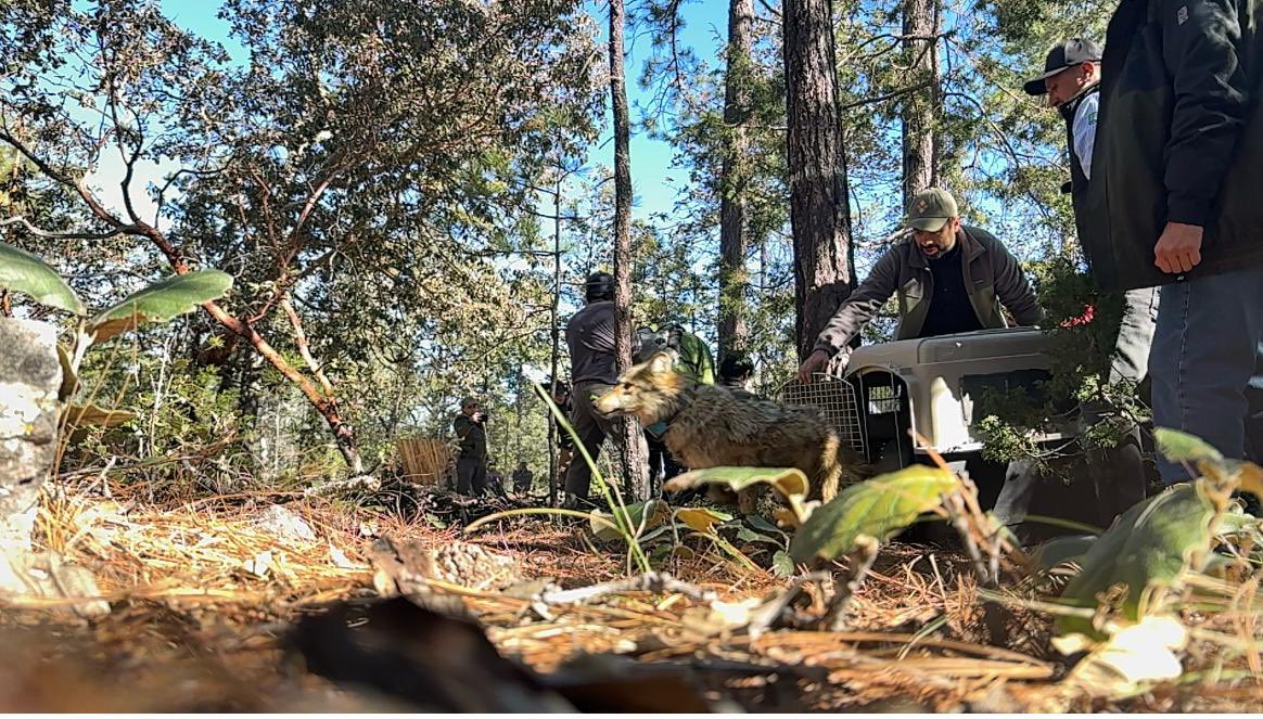 Marina Robles tweet media