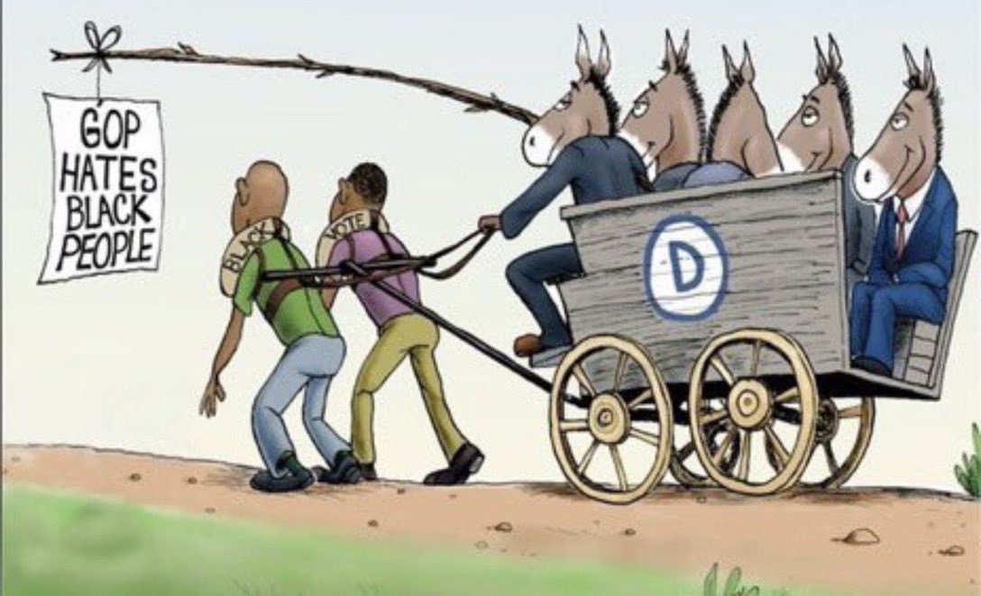 13th Thesis 🇺🇸🌲 tweet media