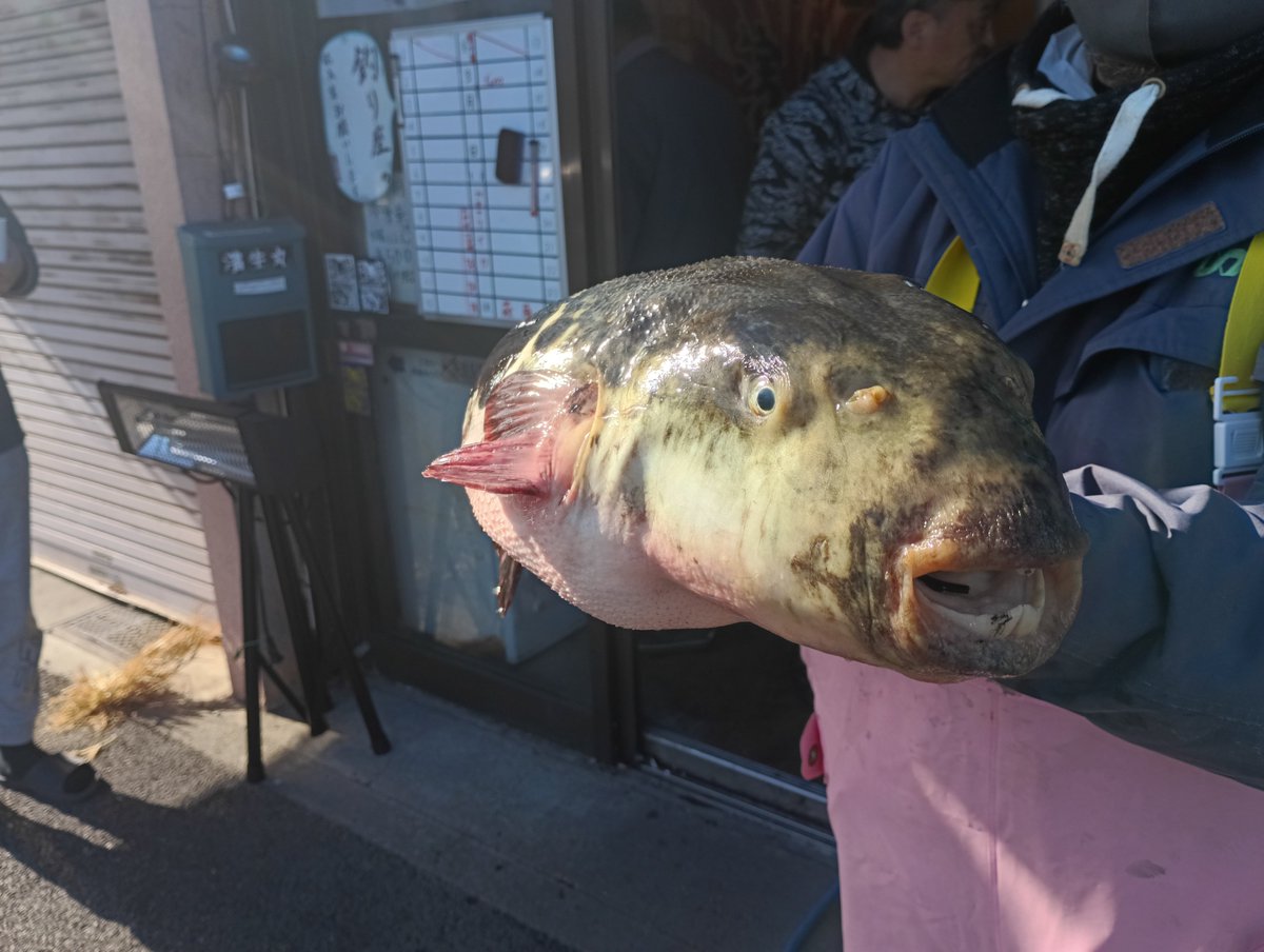 濱生丸★船長望月亮英 tweet media