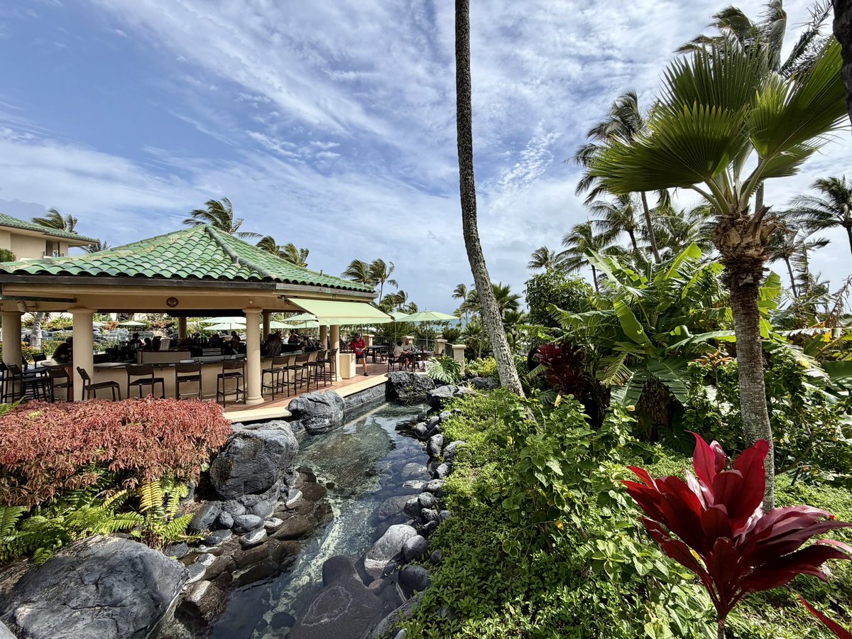 TravelZork's tweet photo. Apparently I’ve taken up residency in Kauaʻi, Hawaiʻi. 🌴🌺
3:05 PM at the #GenPop adult pool.
No private cabana.
No complaints.
But a cocktail feels medically relevant at this point. 🍹😜 https://t.co/Zqr4ycJ3xE