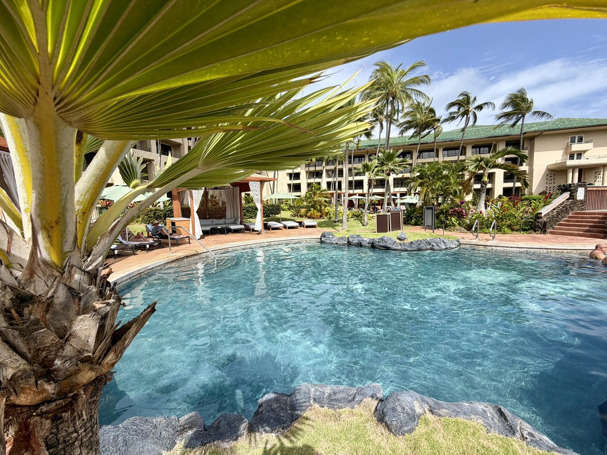 TravelZork's tweet photo. Apparently I’ve taken up residency in Kauaʻi, Hawaiʻi. 🌴🌺
3:05 PM at the #GenPop adult pool.
No private cabana.
No complaints.
But a cocktail feels medically relevant at this point. 🍹😜 https://t.co/Zqr4ycJ3xE