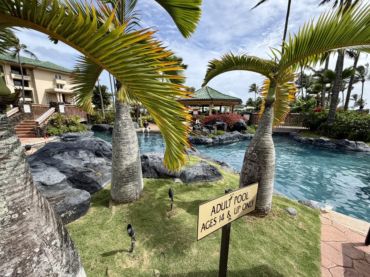 TravelZork's tweet photo. Apparently I’ve taken up residency in Kauaʻi, Hawaiʻi. 🌴🌺
3:05 PM at the #GenPop adult pool.
No private cabana.
No complaints.
But a cocktail feels medically relevant at this point. 🍹😜 https://t.co/Zqr4ycJ3xE