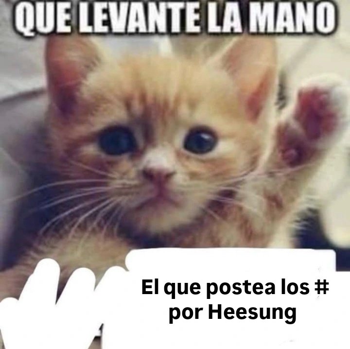 Vayan moviendo ese culo que hace 23 minutos inicio la oleada masiva, las quiero ver poniendo los # o las mato a todas y les abro el estómago con una cuchara, pedazo de escoria come escroto quien no lo haga 

#ENHYPEN_IS_SEVEN
#SevEN_Always
#HEESEUNG
#Enhypen_is_7
#HEESEUNG_STAYS