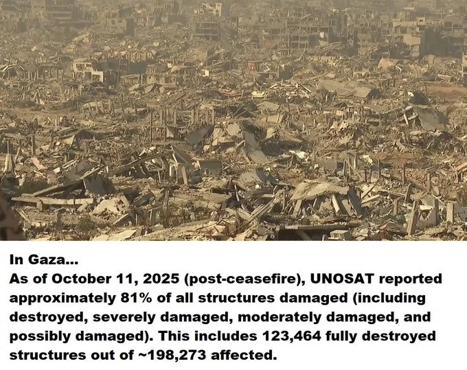 Banbenzos tweet media