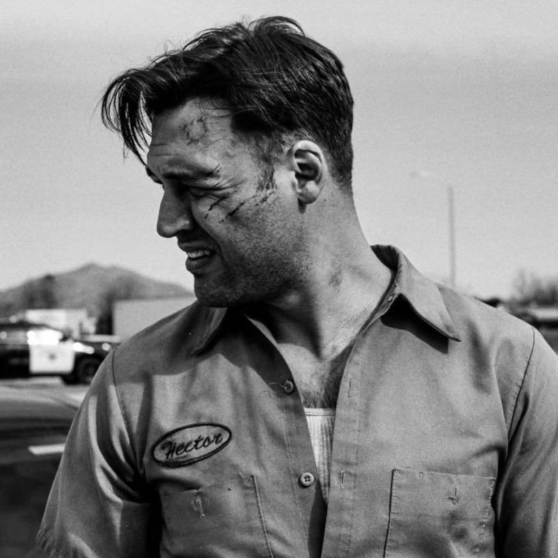 catie 🪱 tweet media