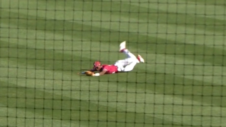 Cory Stewart tweet media