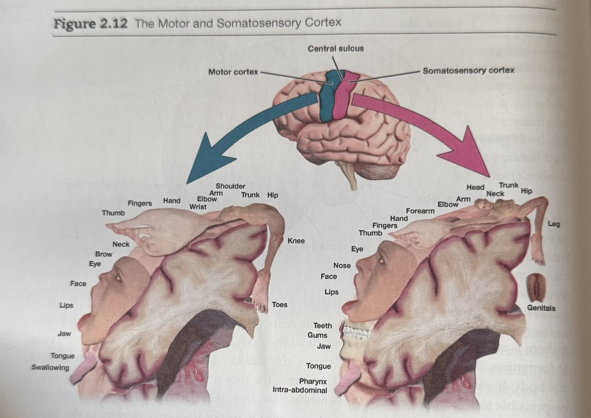 지은 🇵🇸 tweet media