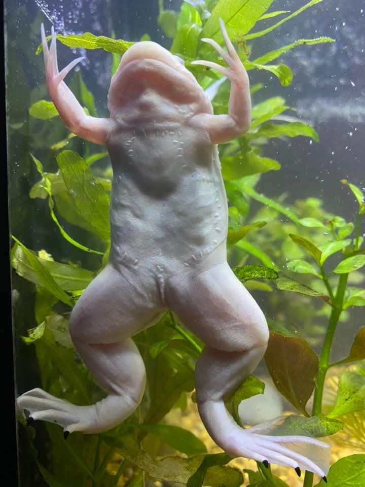 Ryan Matthews tweet media