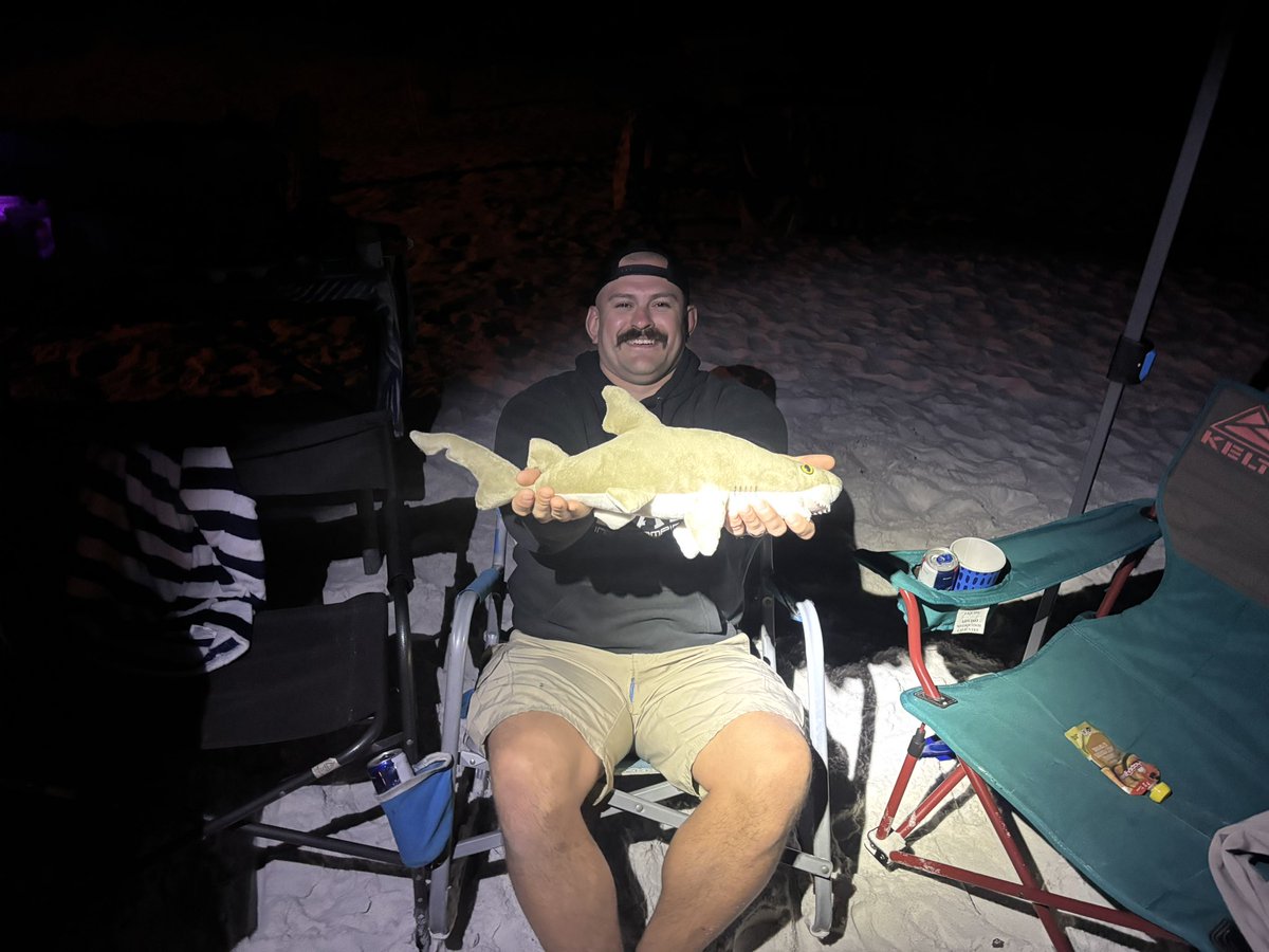 Dball333 tweet media