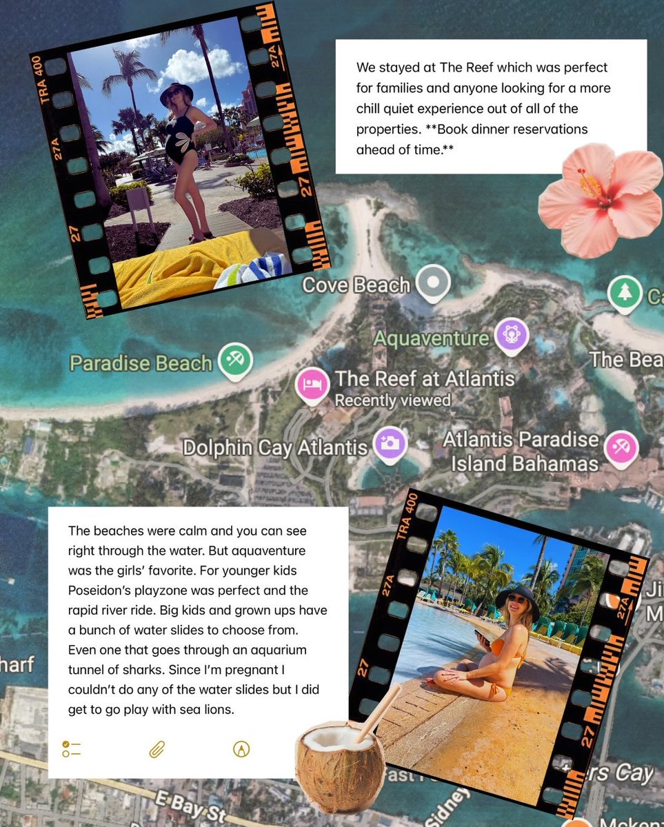 Candice King Daily tweet media