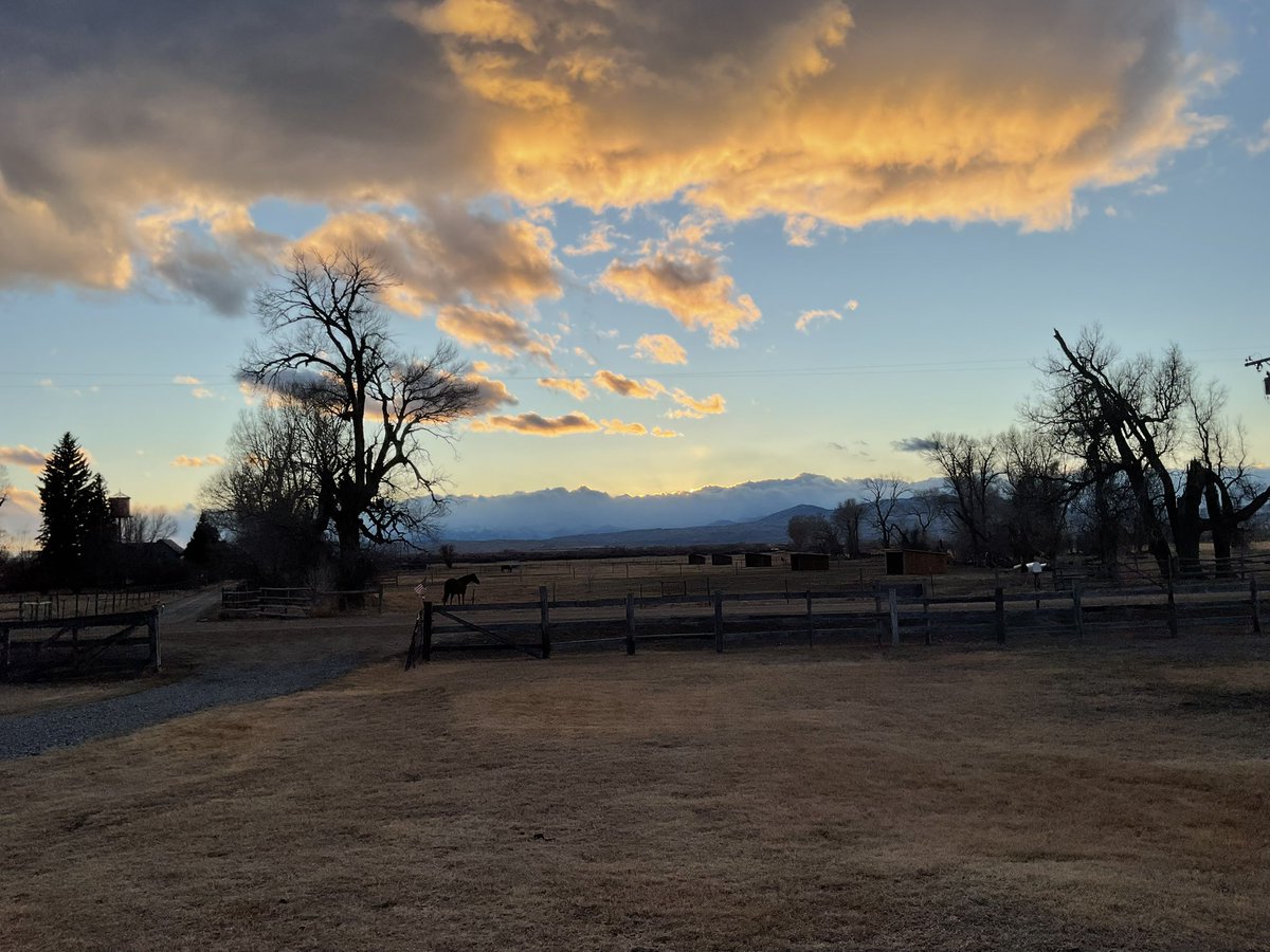 🍒Cherry🍒 tweet media