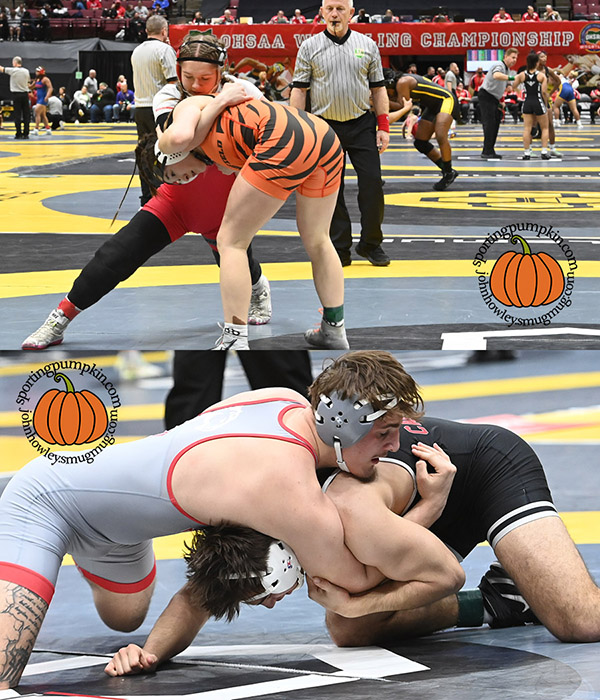 Sporting Pumpkin tweet media