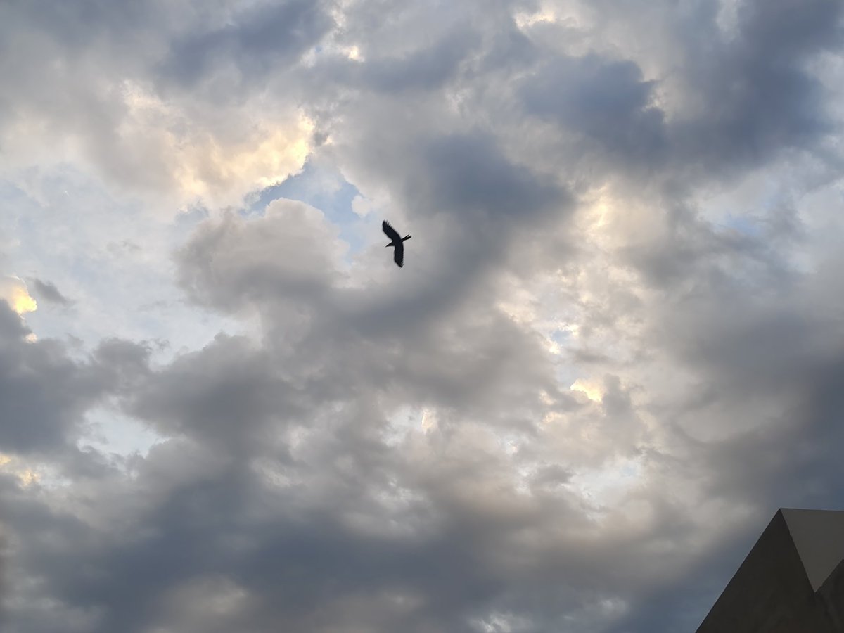 Komalpr80044948's tweet image. #MorningVibes #CloudyDay