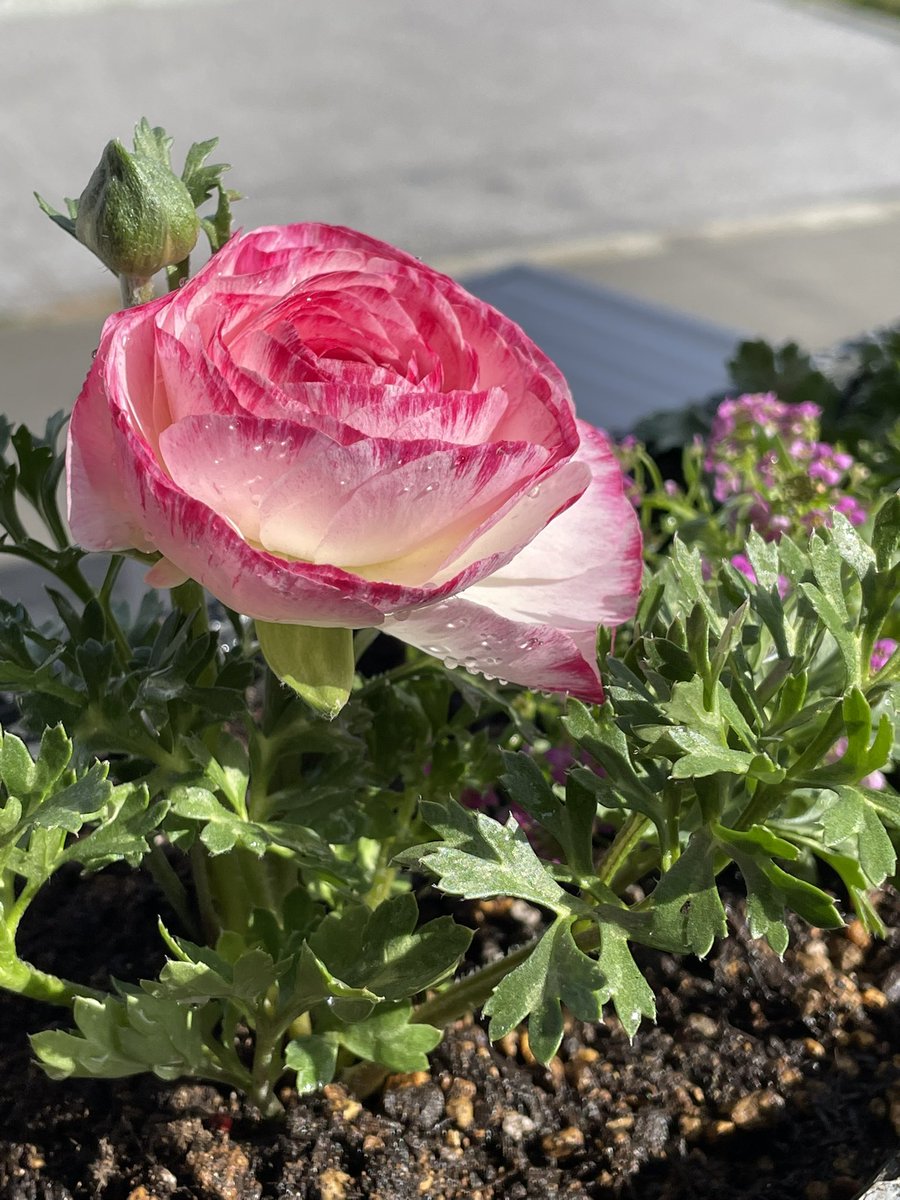 emi-lab(エミラボ) tweet media