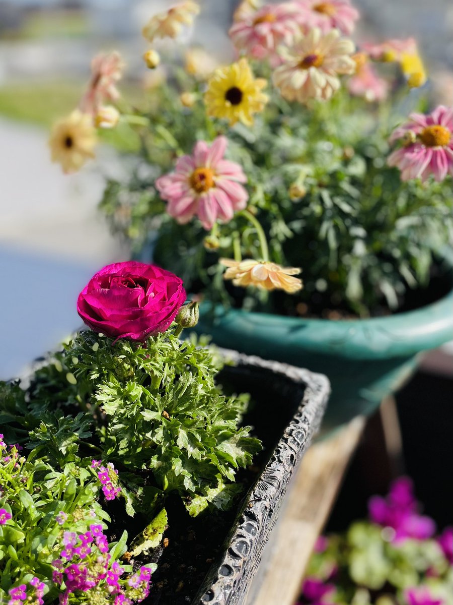 emi-lab(エミラボ) tweet media