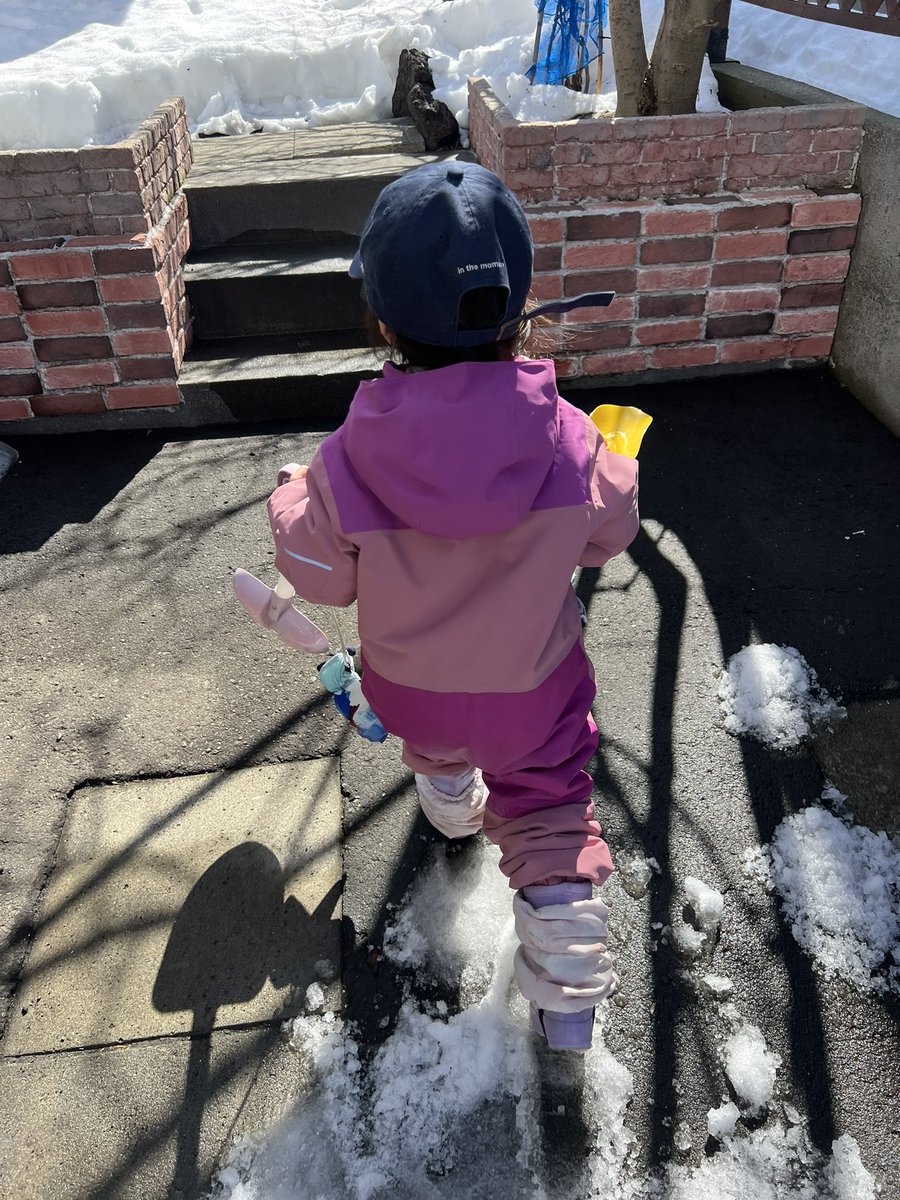 ひよこぶた tweet media