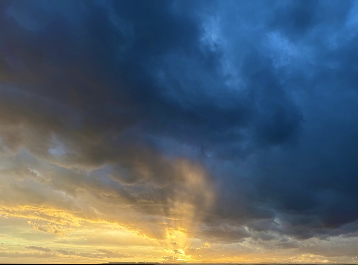 Corbin Allred tweet media