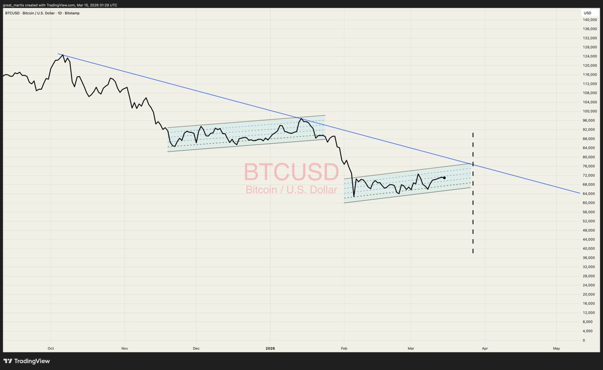 The Great Martis tweet media