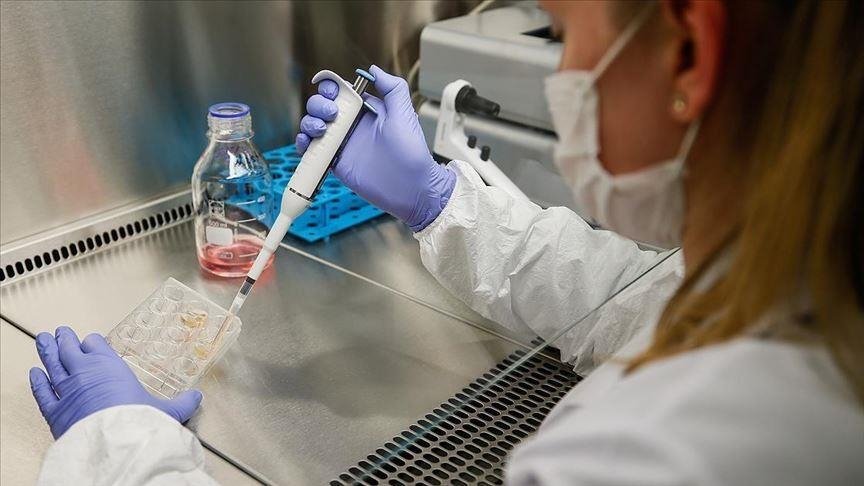 fascinatingonX's tweet photo. 🚨 BREAKING: Japan becomes first to approve stem cell therapies for Parkinson’s and heart failure. https://t.co/ojlmPL2lyC