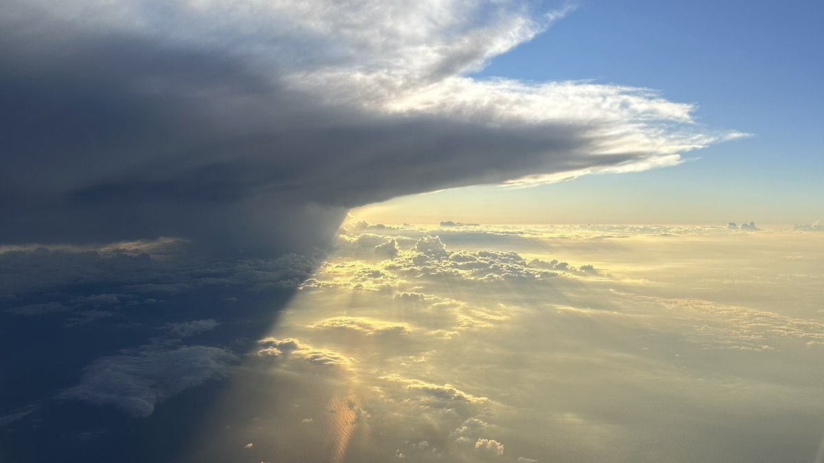 kealian 🔜 FWA/CFZ tweet media