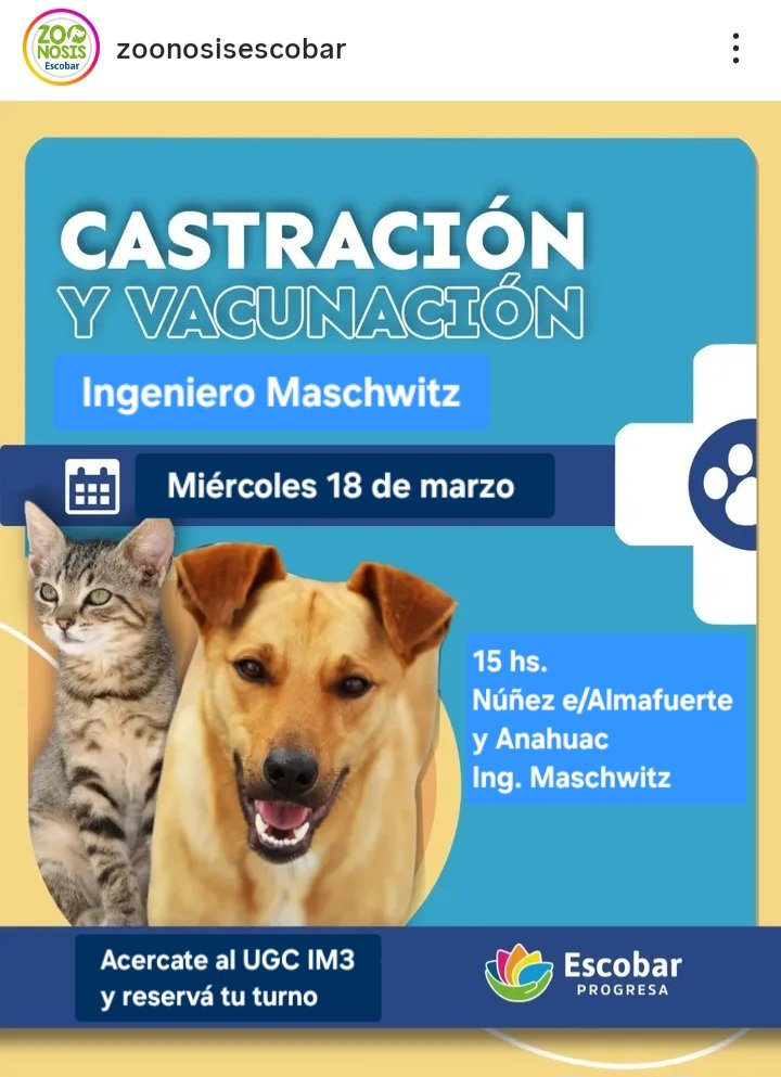 protegealanimal's tweet photo. ESCOBAR - ING. MASCHWITZ
#ESCOBAR #INGMASCHWITZ #MASCHWITZ #INGENIEROMASCHWITZ #GARÍN #MATHEU #MAQUINISTASAVIO #SAVIO #BELÉNDEESCOBAR #LOMAVERDE #ZONANORTE #GRANBSAS #BSAS
Para castraciones en el móvil quirúrgico deben acercarse antes de la fecha a la dirección del operativo. https://t.co/eS6UeiDSFH