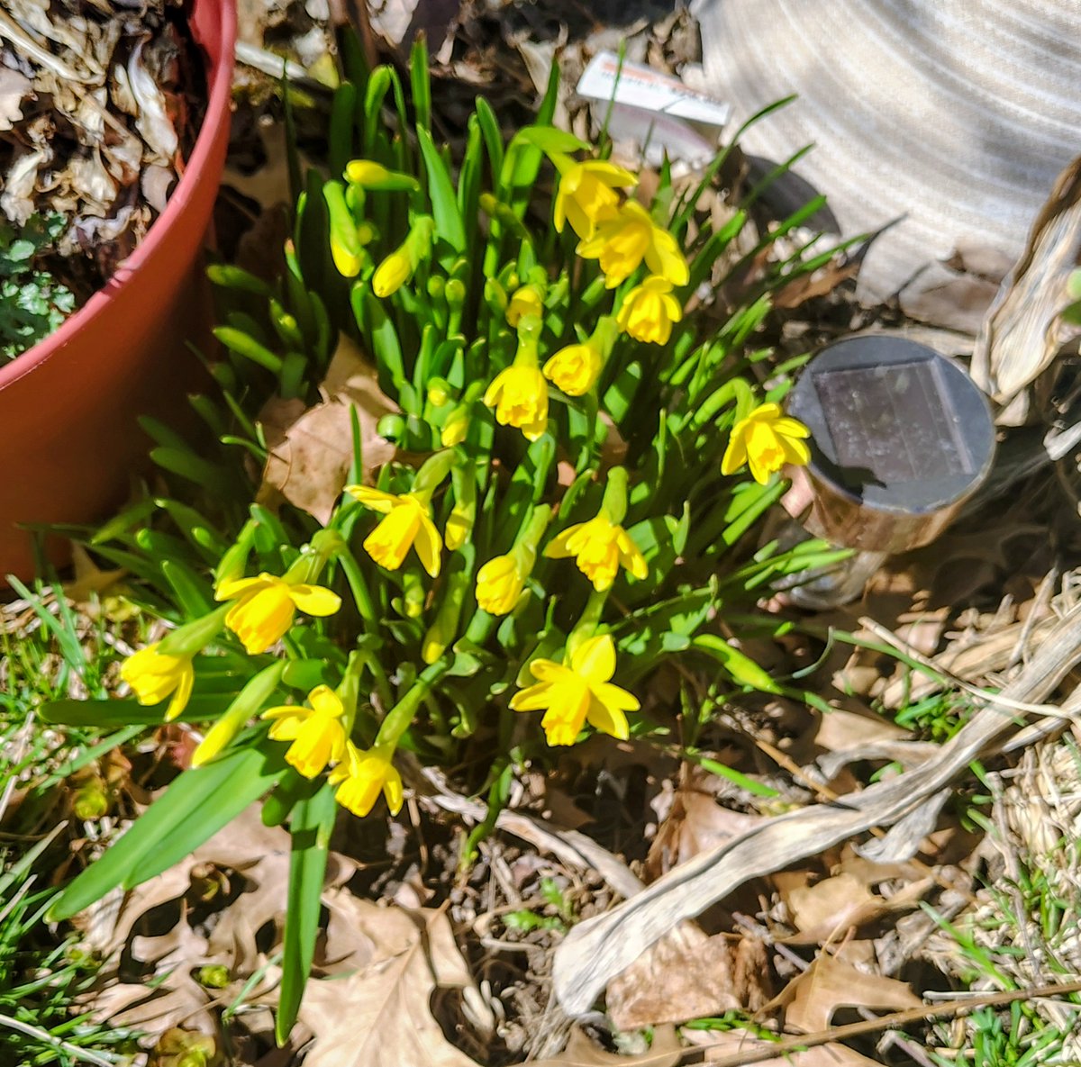 Stephanie SternProtz tweet media