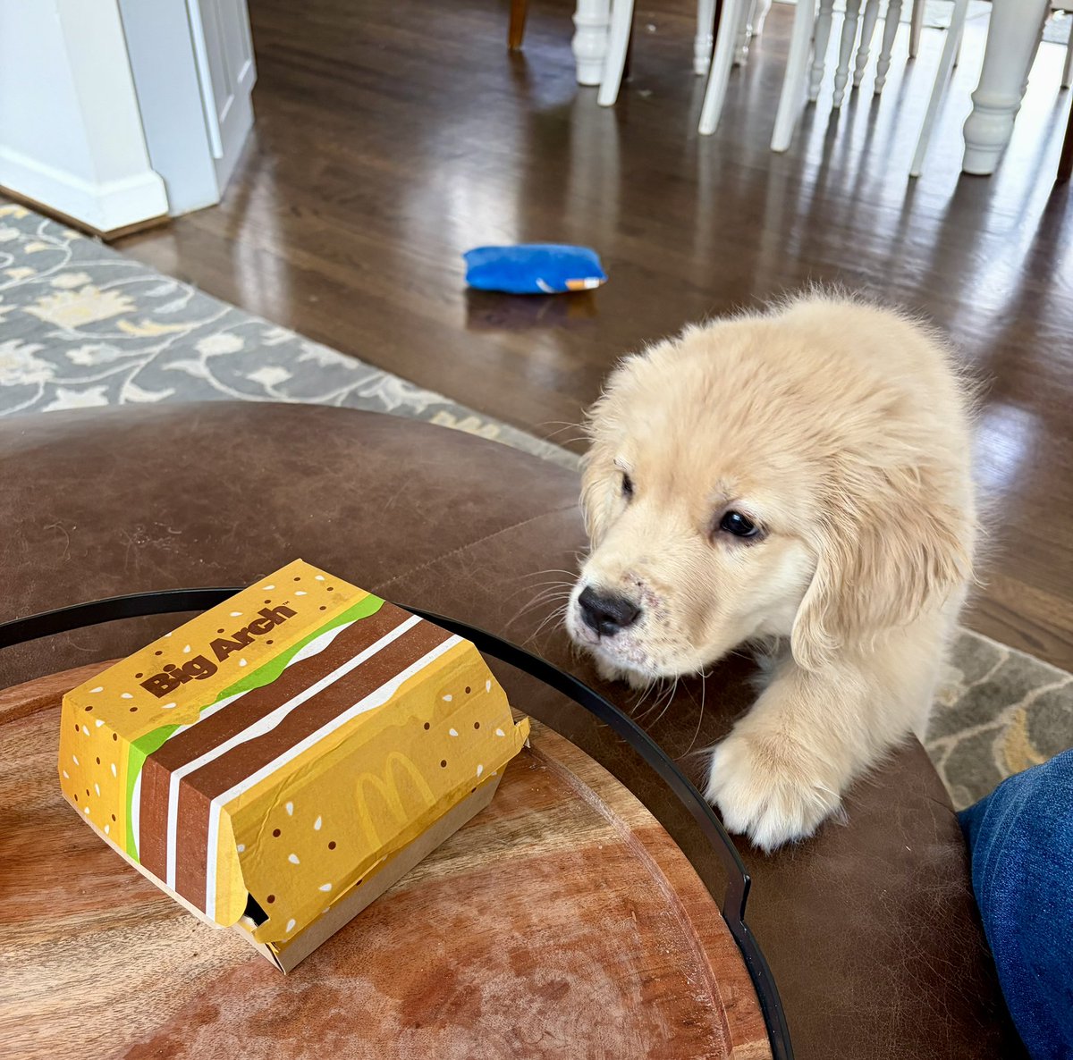 One of us was about to try the Big Arch from <a href="/McDonalds/">McDonald's</a> for the first time today.
