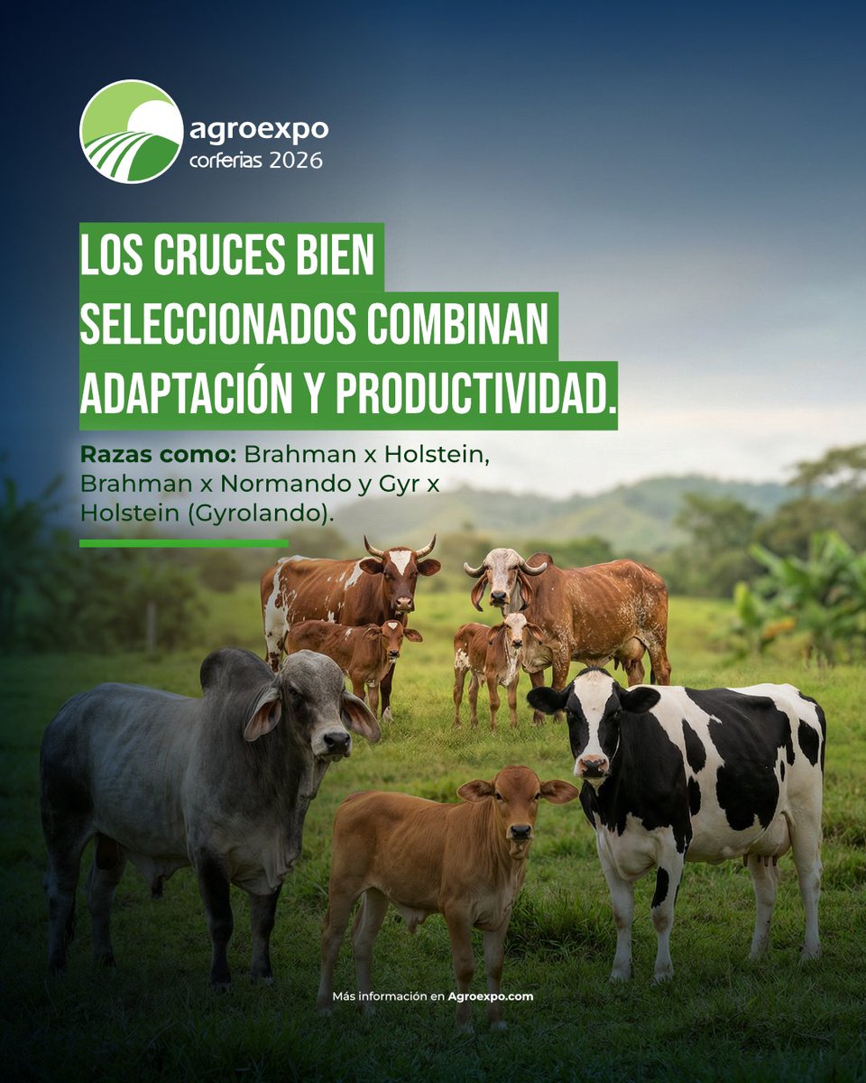 Agroexpo Colombia tweet media