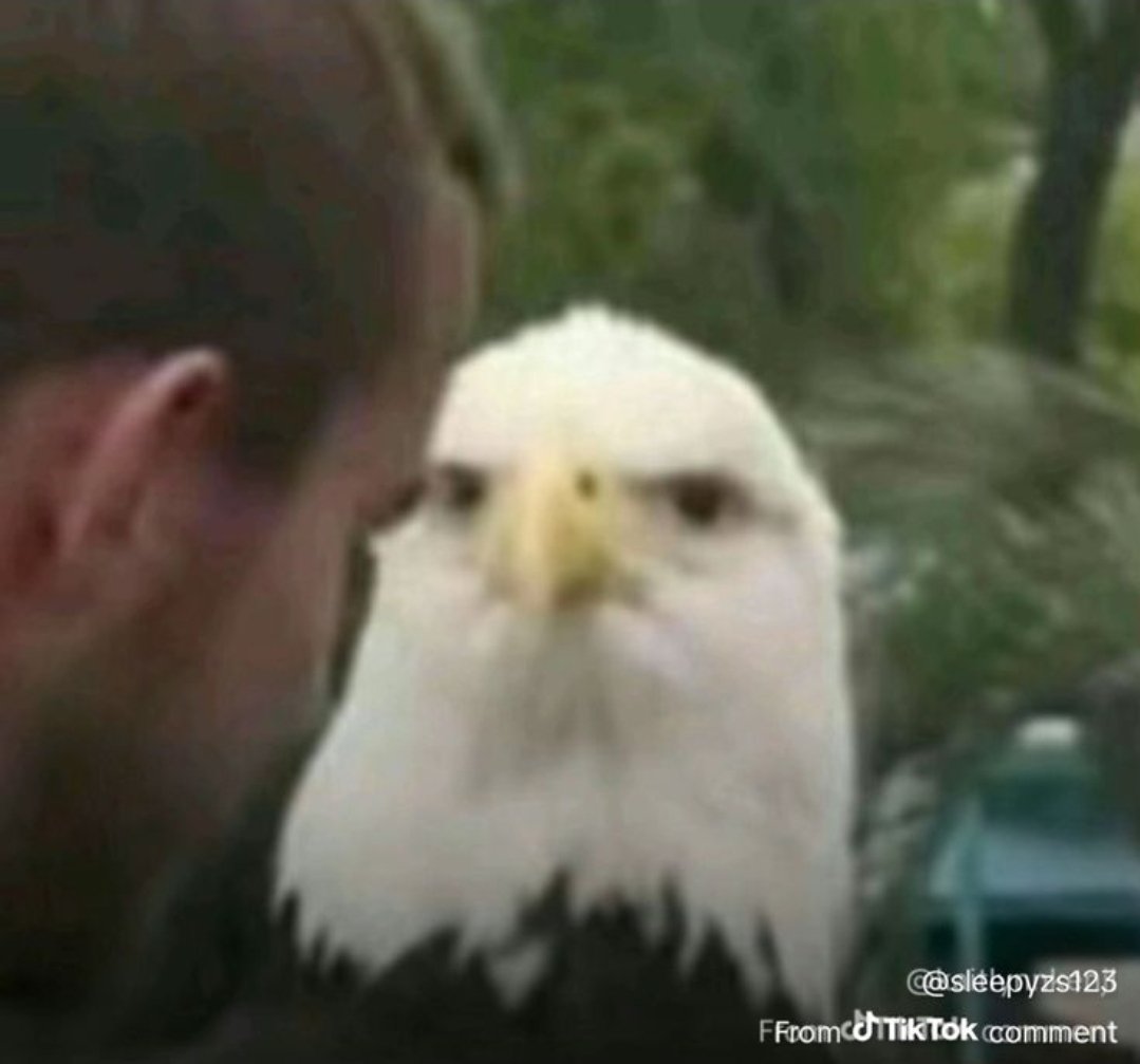 cadê o vídeo do tooru? tweet media