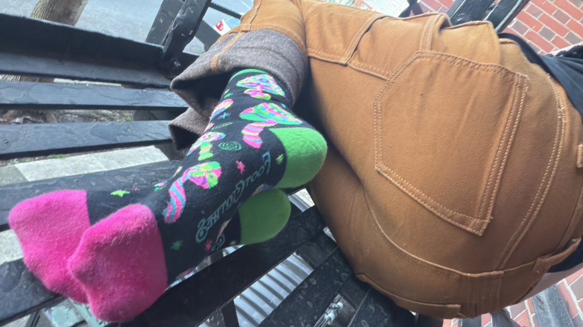 🍋 lemmi ! tweet media