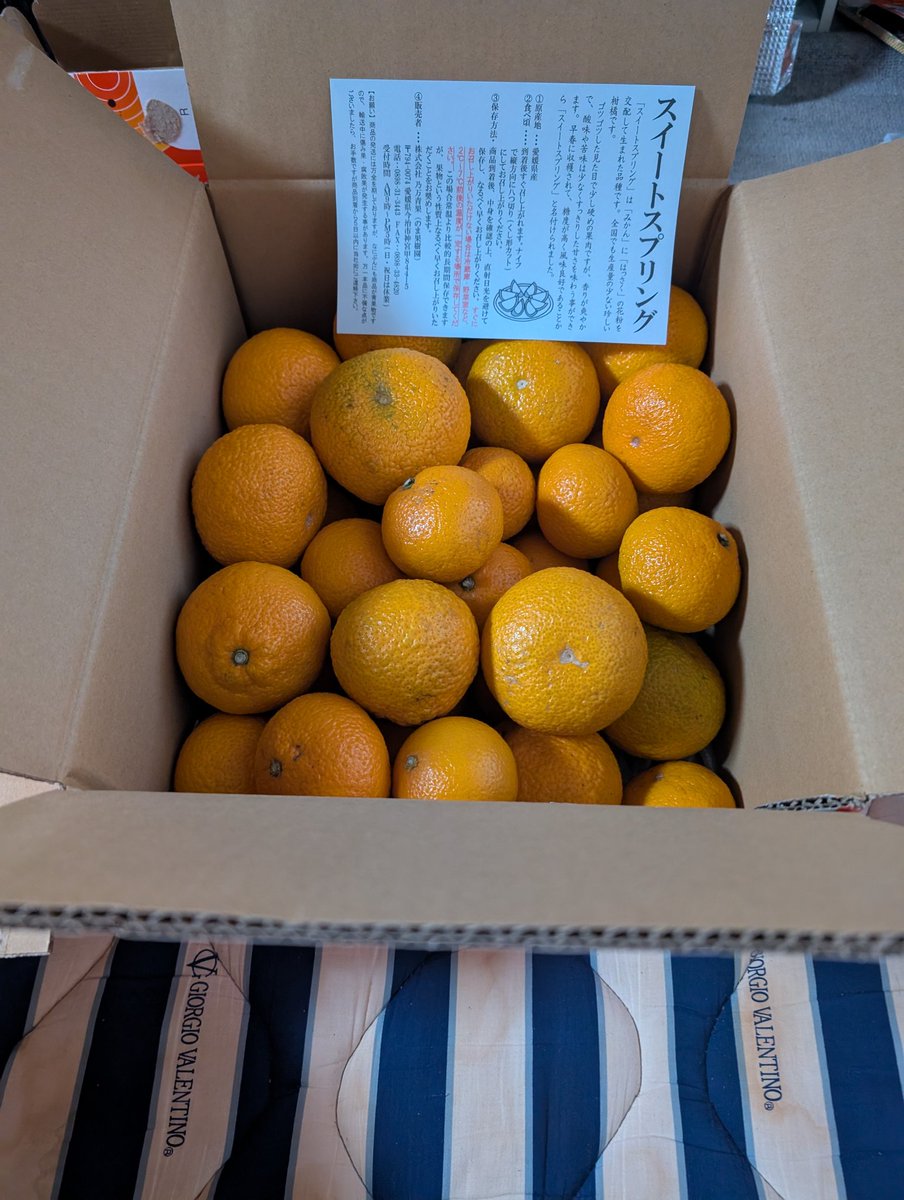 ウッチー🌙 tweet media