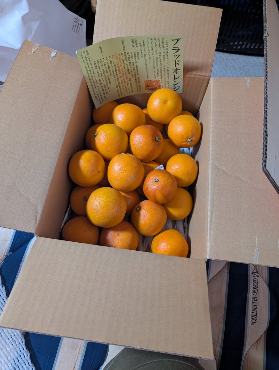 ウッチー🌙 tweet media