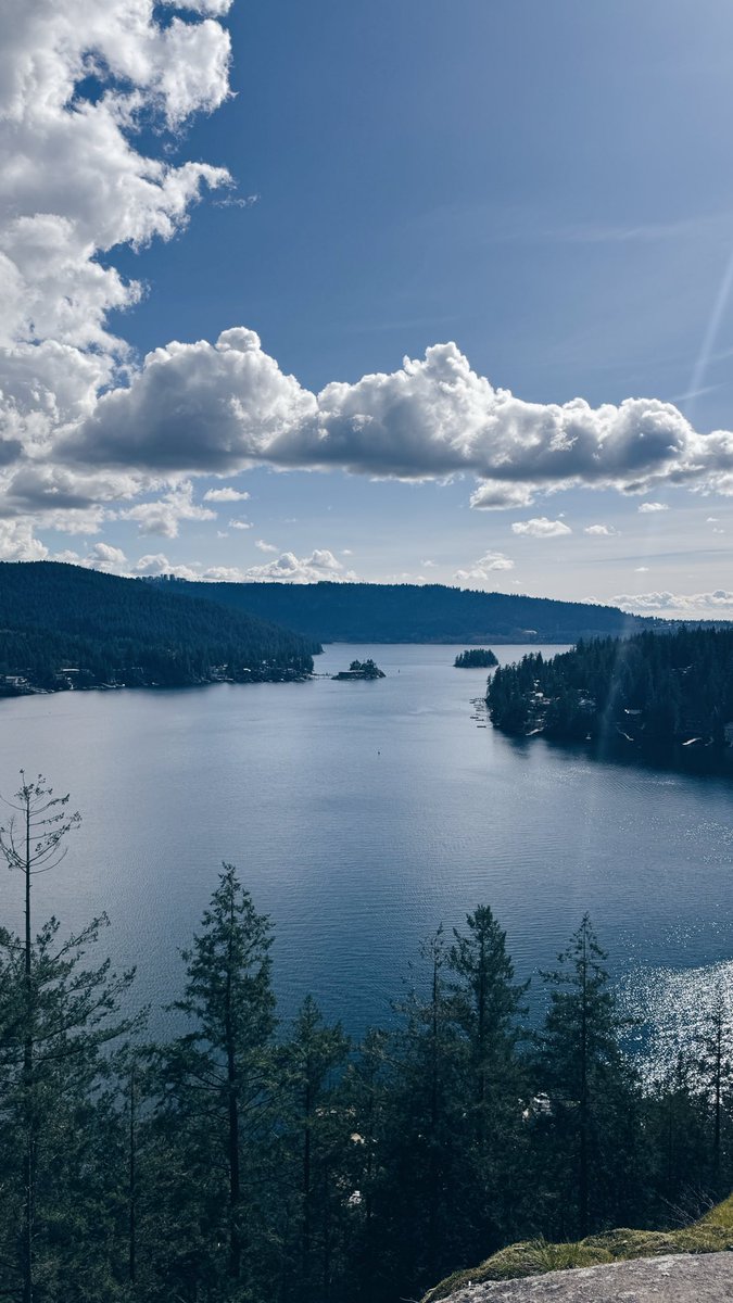 Miss Céline ✟ Calgary Dominatrix tweet media