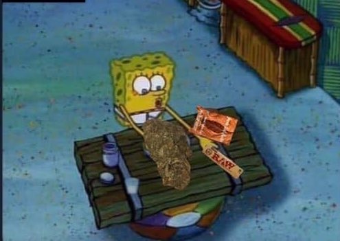 a meek thug tweet media